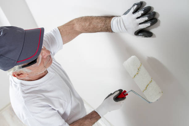 Professional Mold Removal in Gaffney, SC