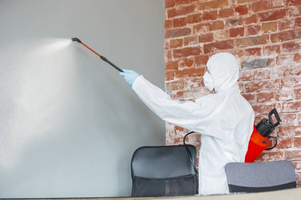 Best Asbestos and Lead Testing During Mold Inspection  in Gaffney, SC