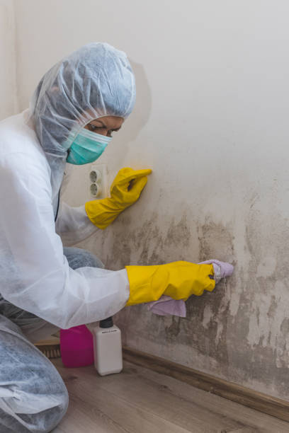 Best Forensic Mold Investigation  in Gaffney, SC