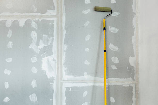 Best Mold Prevention Services  in Gaffney, SC