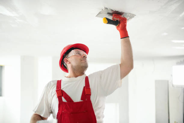 Best Crawl Space Mold Remediation  in Gaffney, SC
