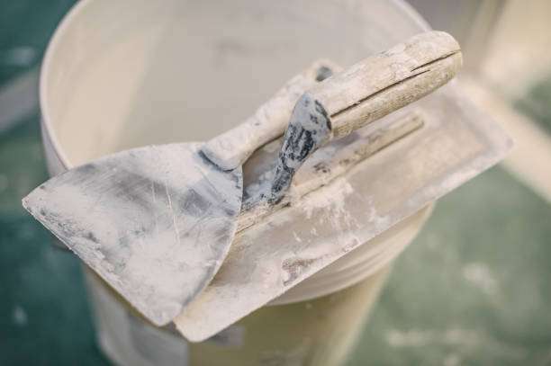 Best Real Estate Mold Inspection  in Gaffney, SC