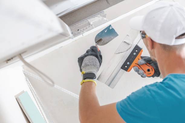 Best Mold-Related Health Consultation  in Gaffney, SC